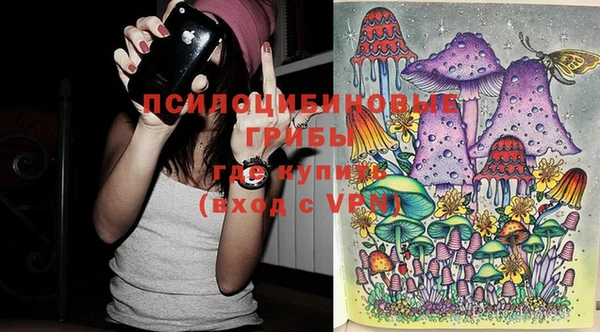 винт Баксан